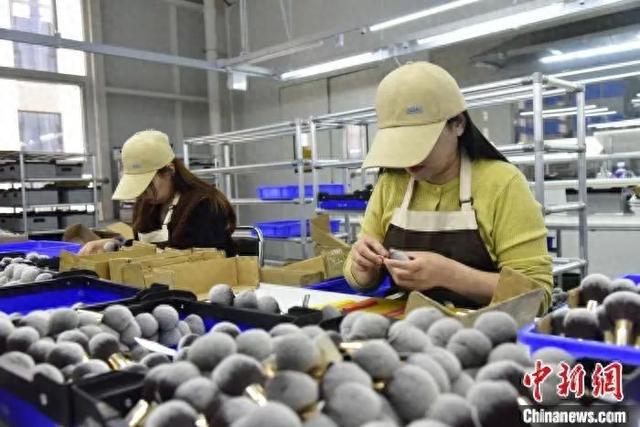 有“两把刷子”！j9国际站沧州真(图7)