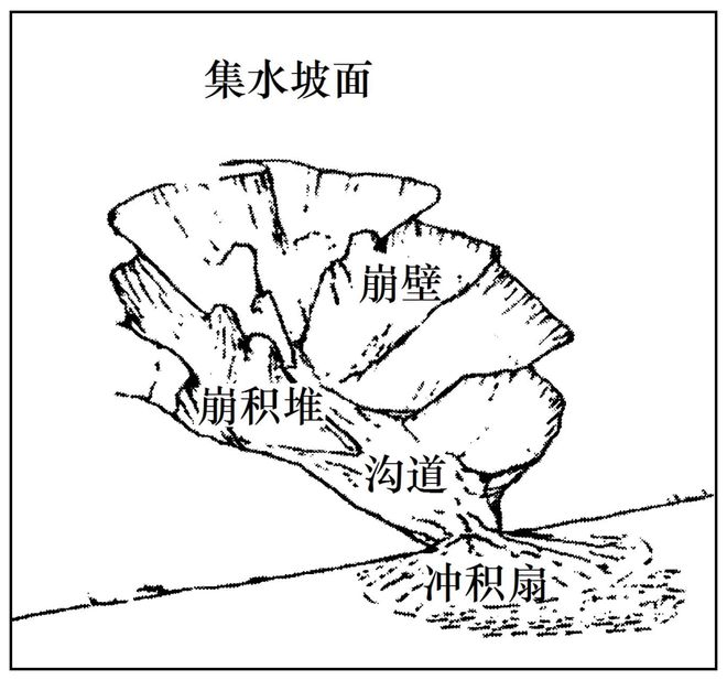 理 二轮微专题22 市场竞争力j9九游会入口2025高考地(图7)