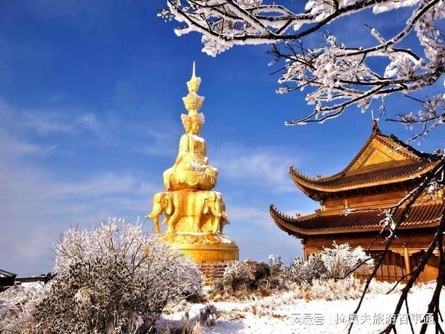 跟团游成都纯玩游需要多少钱详细攻略九游会j9ag去四川旅游5天4晚(图2)