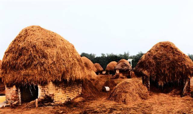 北二王作案留言挑衅警方下场与一样j9国际站83年“小二王”模仿东(图5)